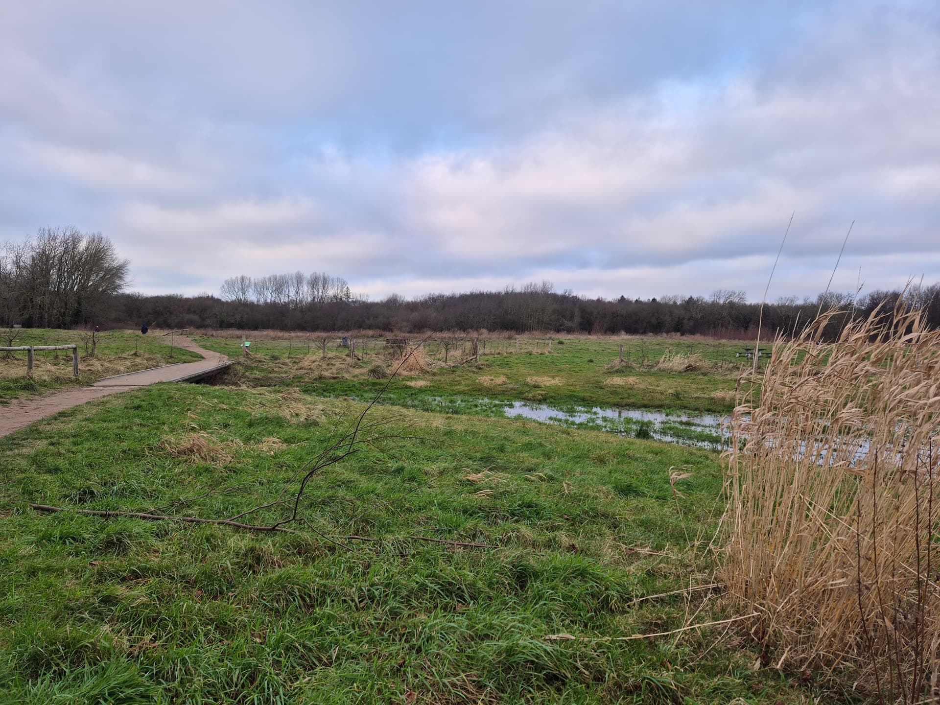 Citizen Science foto 5 voor locatie 3