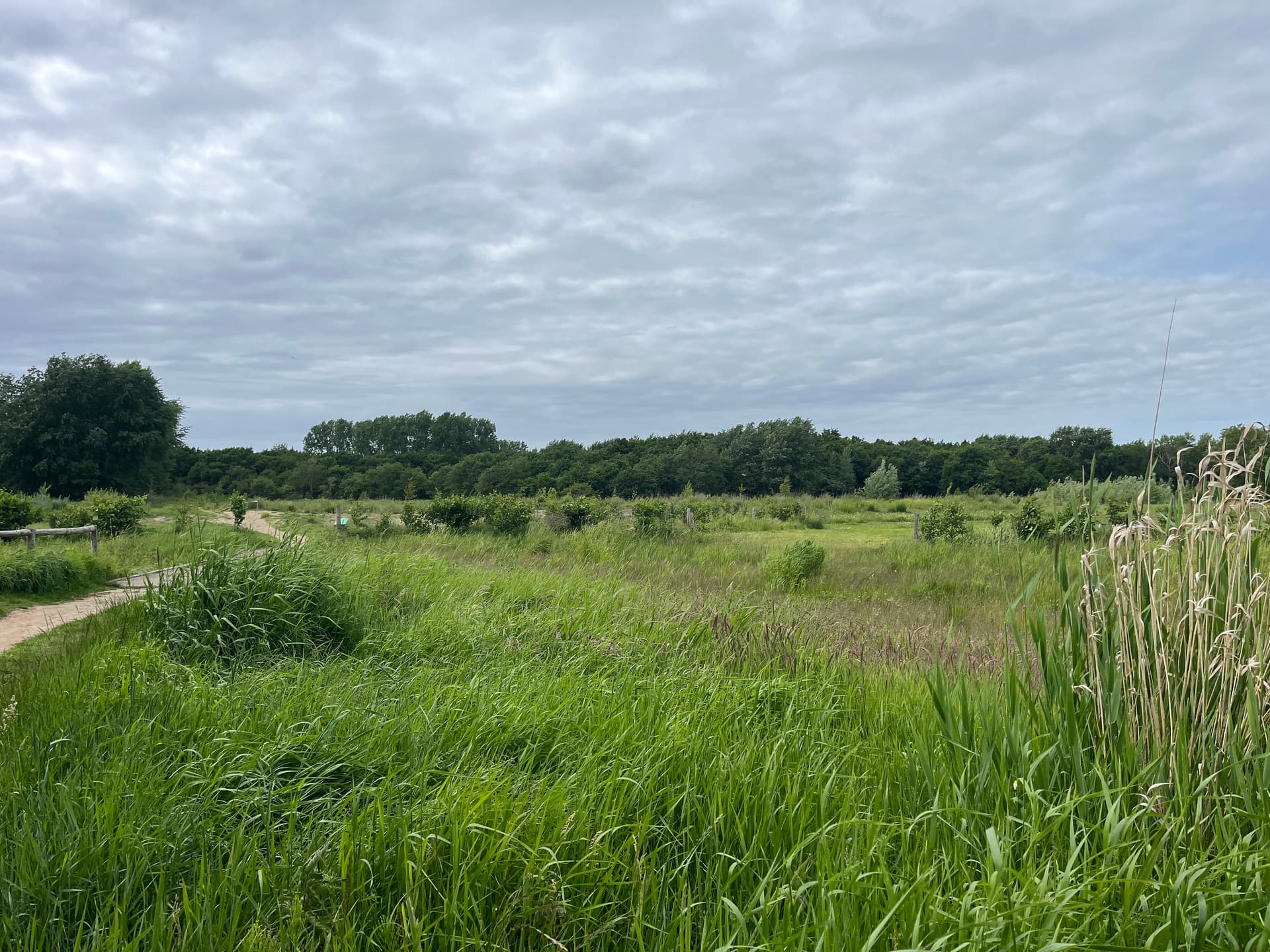 Citizen Science foto 3 voor locatie 3