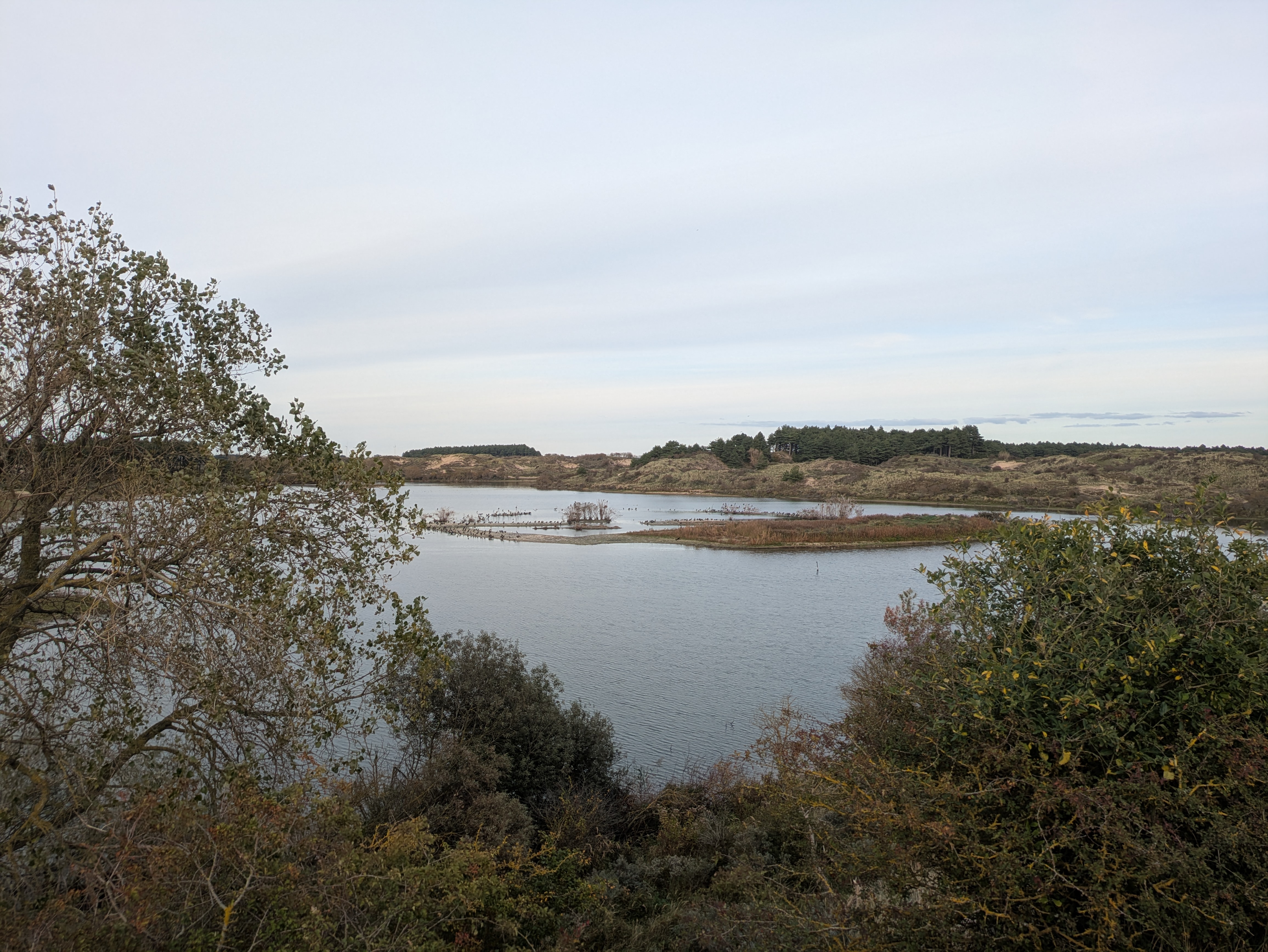 Citizen Science foto 364 voor locatie 4