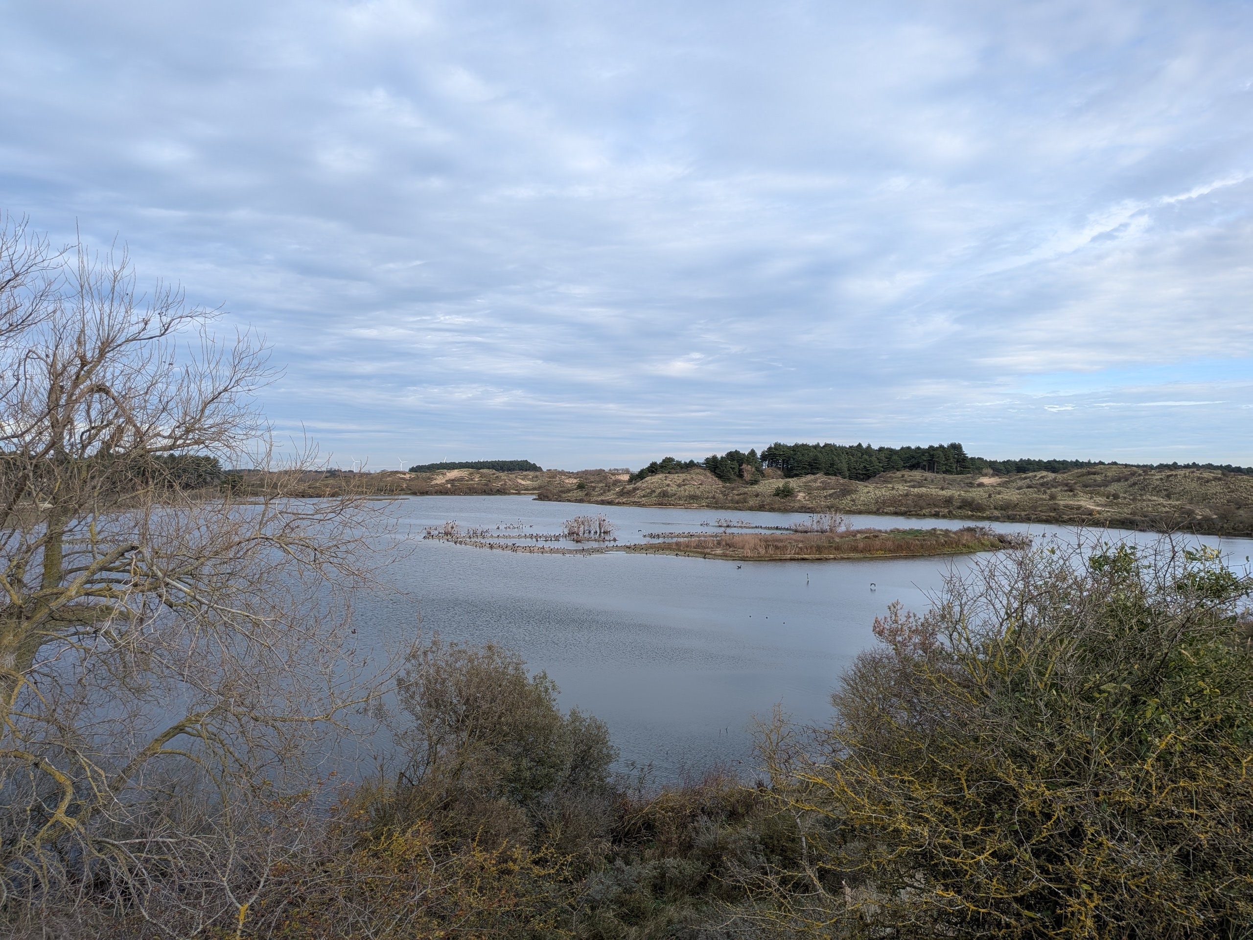 Citizen Science foto 342 voor locatie 4