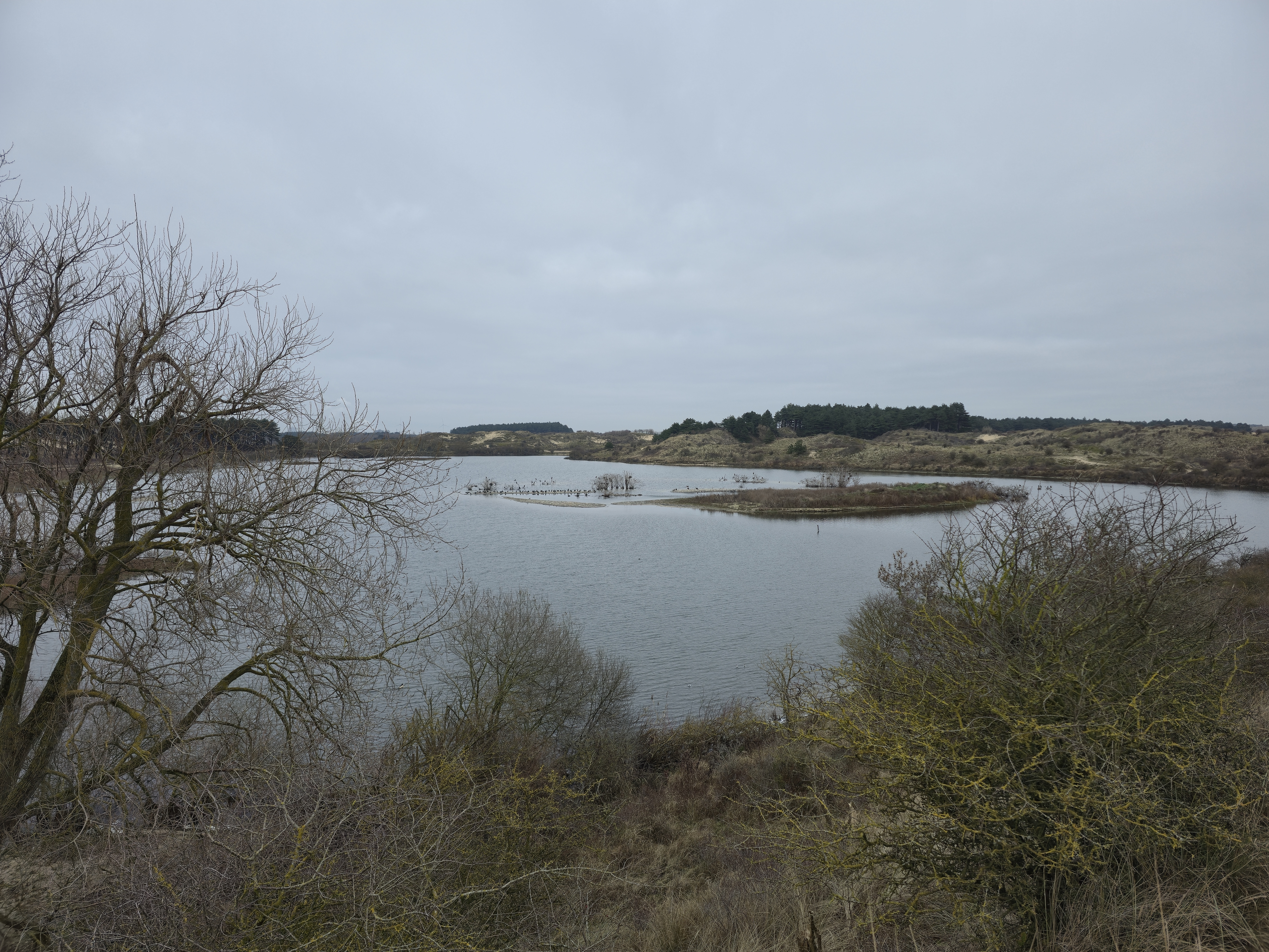 Citizen Science foto 302 voor locatie 4