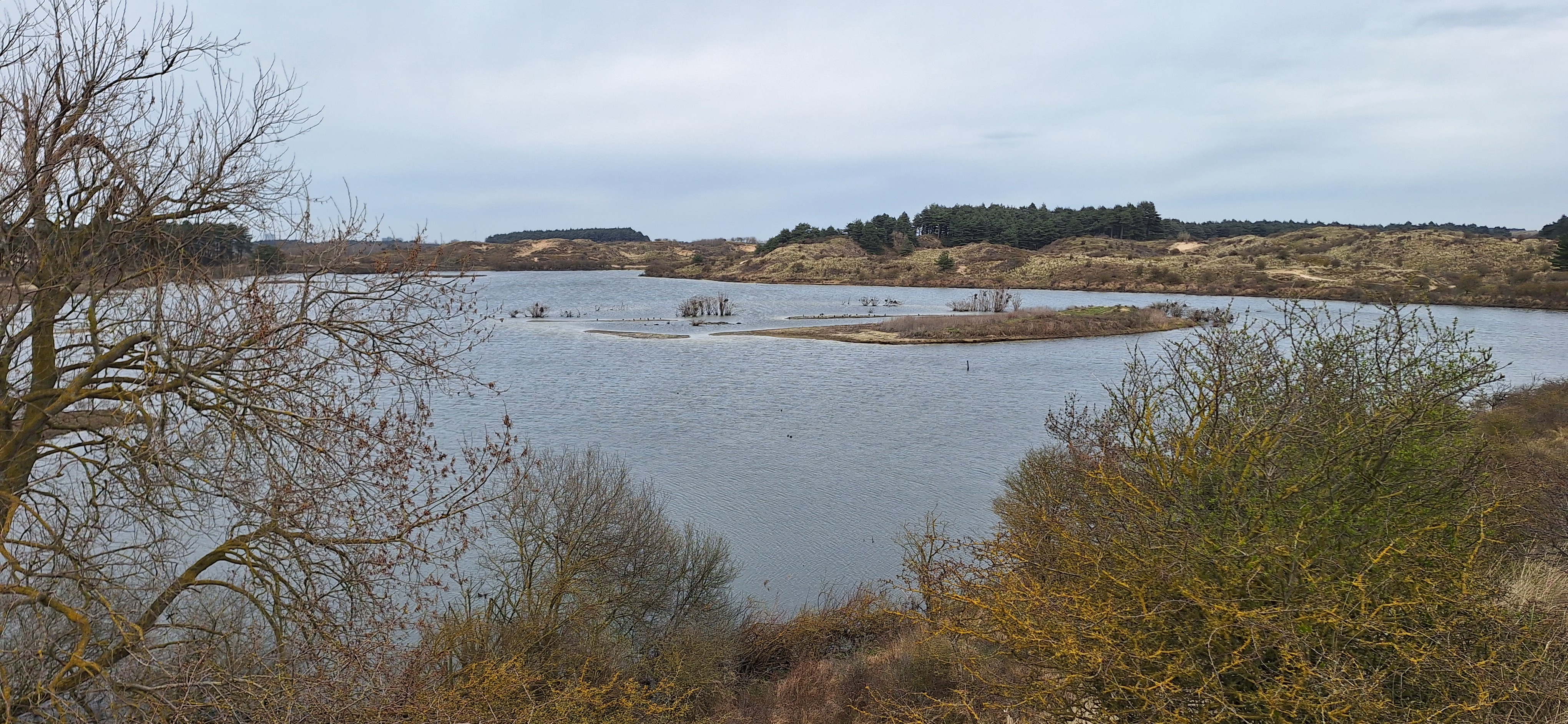 Citizen Science foto 176 voor locatie 4