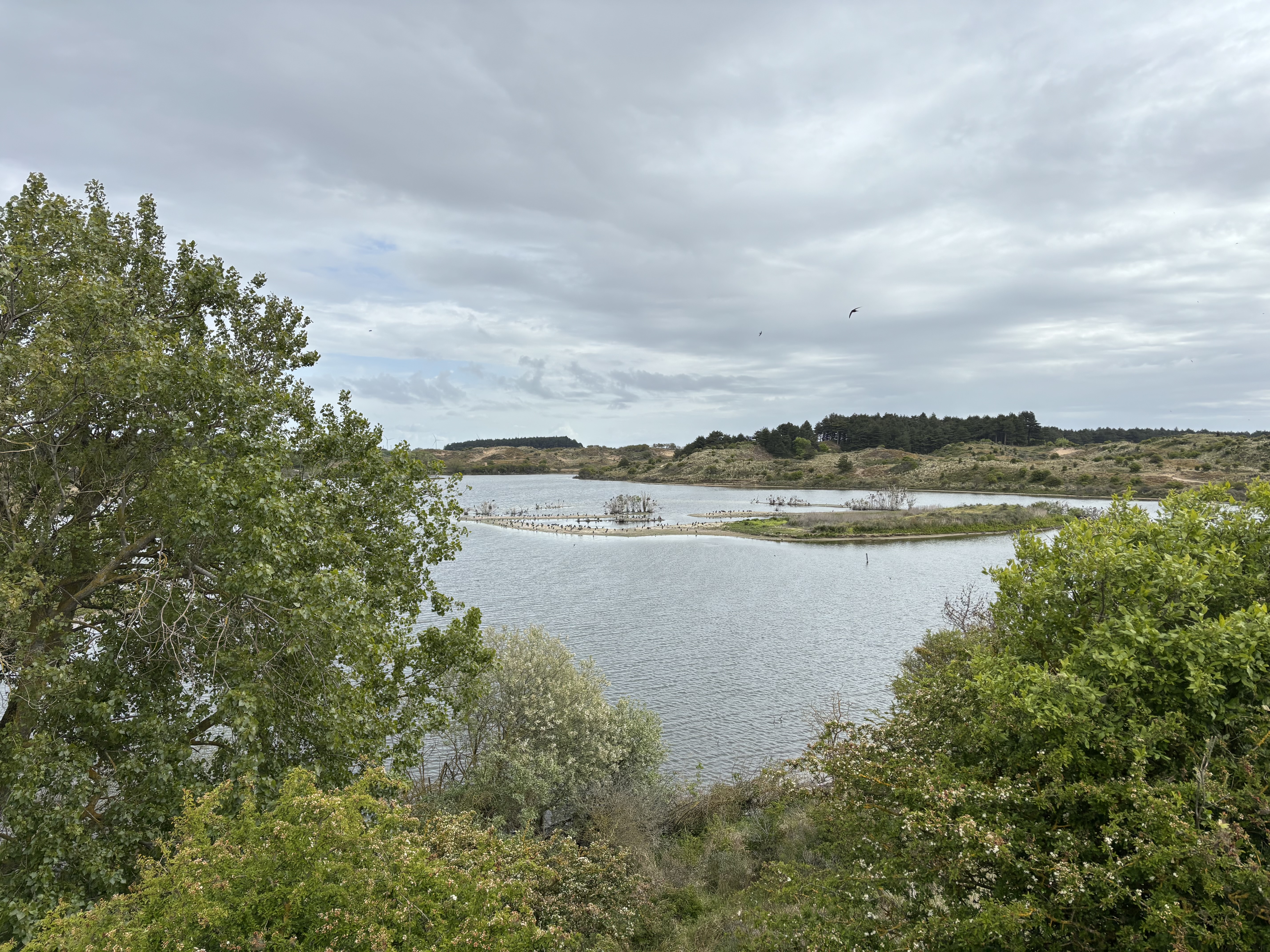 Citizen Science foto 70 voor locatie 4