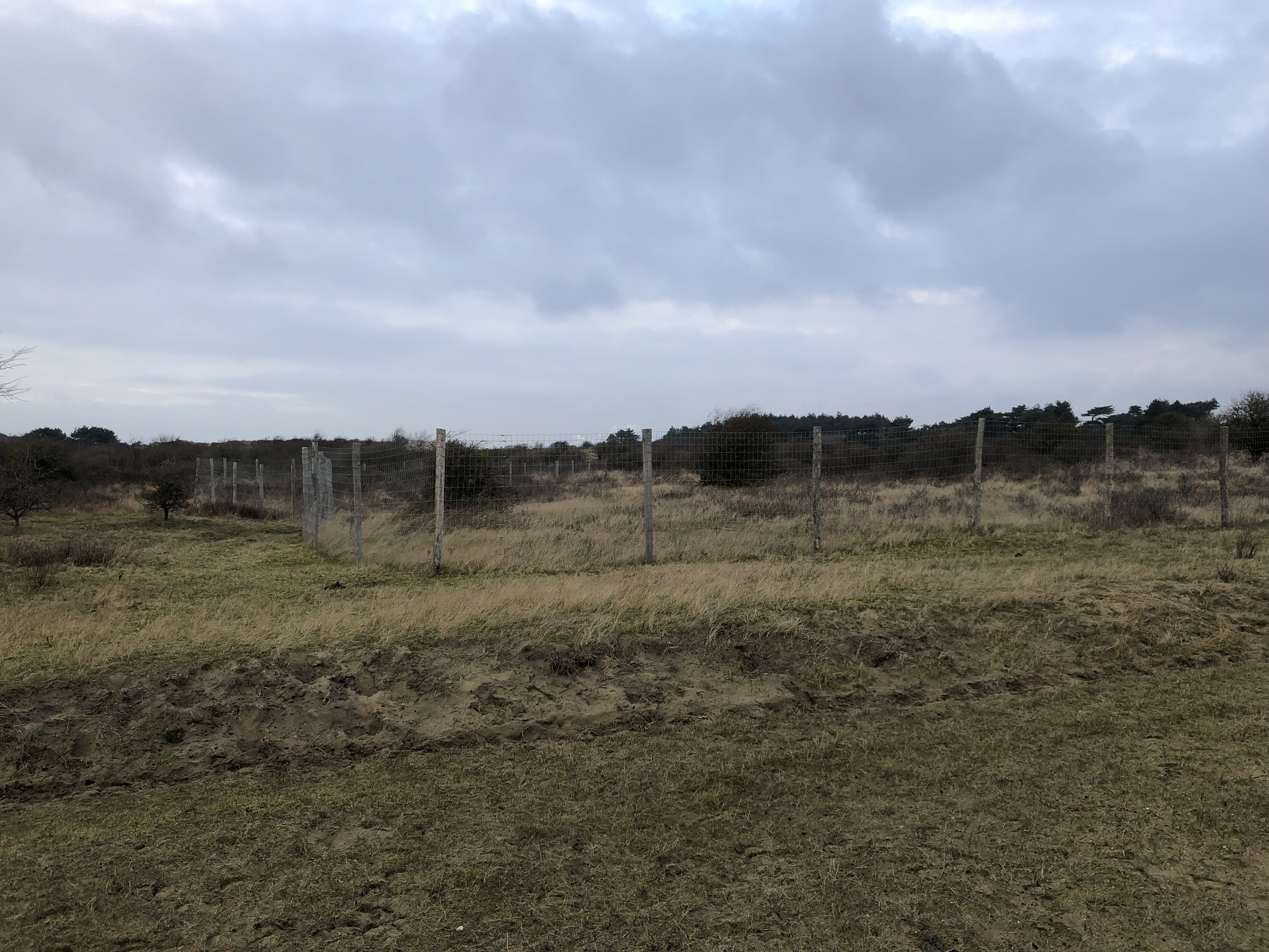Citizen Science foto 144 voor locatie 2