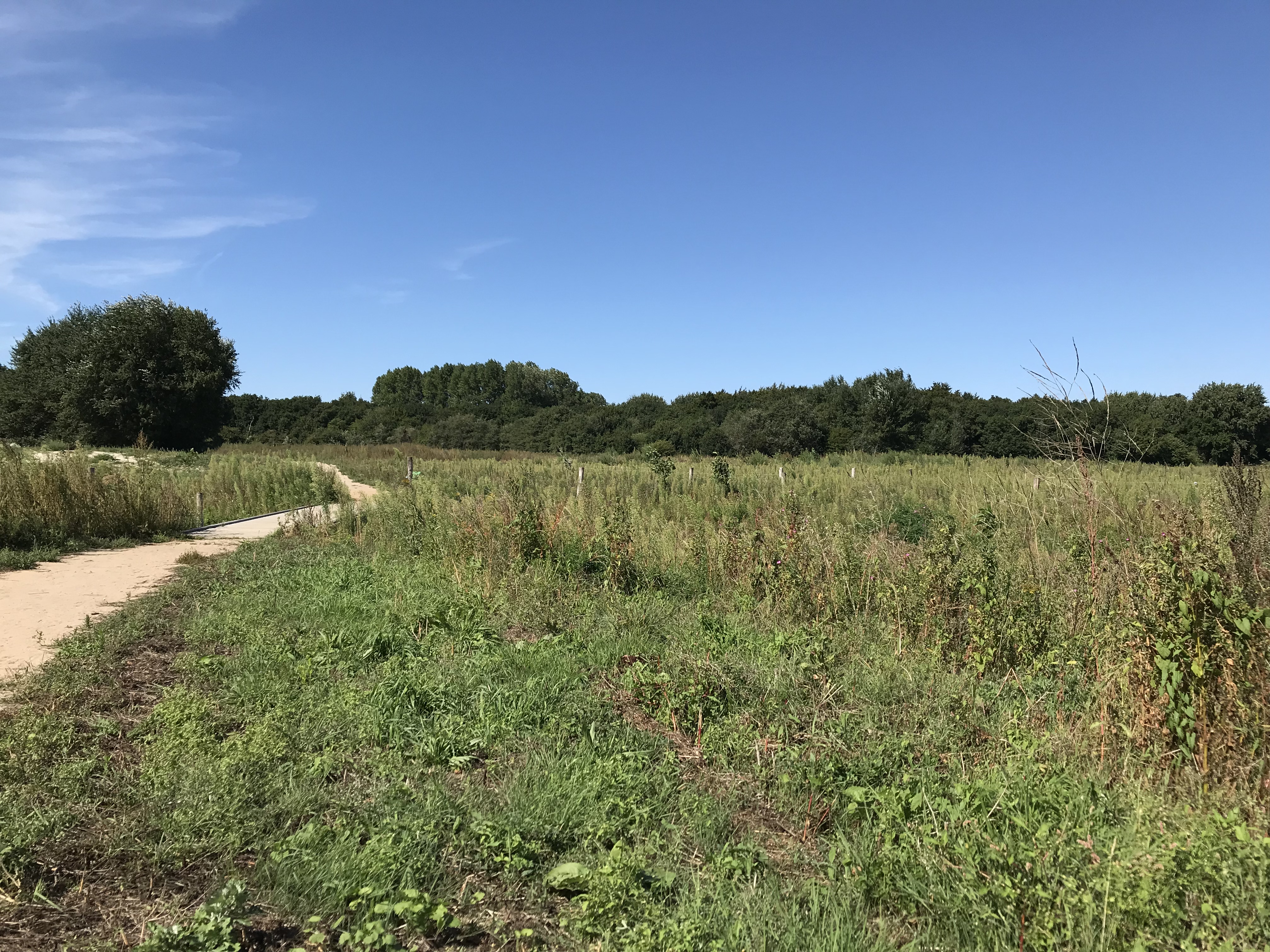 Citizen Science foto 100 voor locatie 3